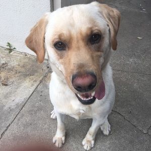 Meet your Posher, May